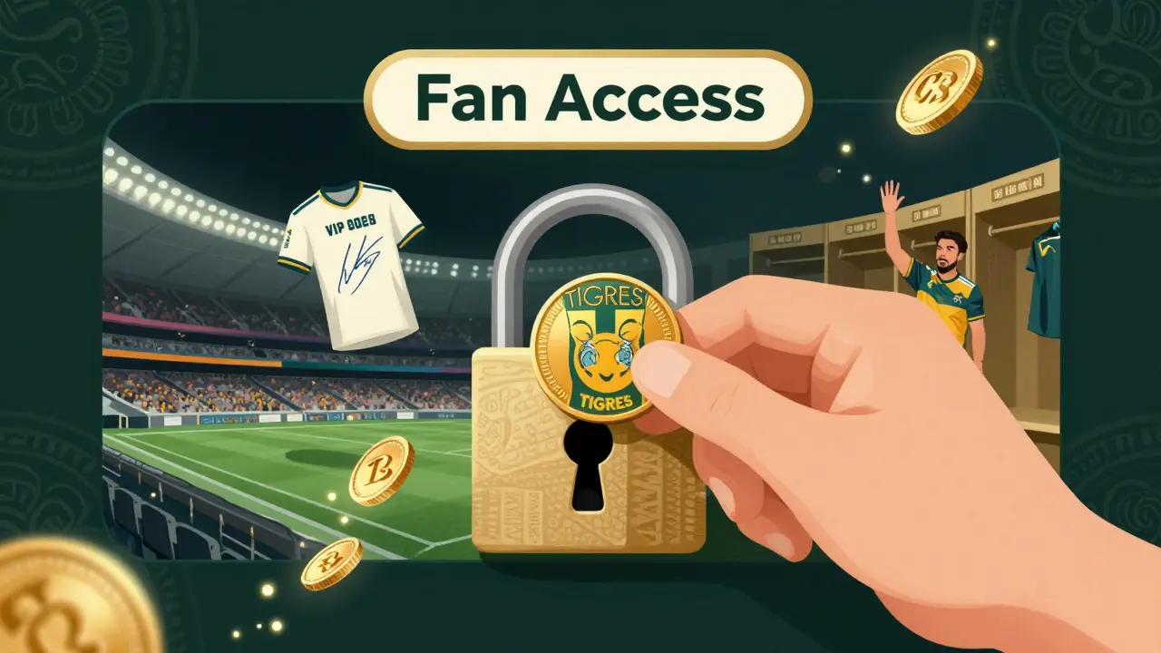 A hand inserts a TIGRES token into a lock, unlocking exclusive club experiences like VIP tickets and signed jerseys.